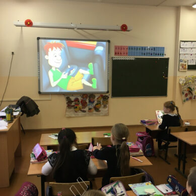 В школах Зеленоградского района сотрудники ГИБДД проводят уроки «Безопасные зимние каникулы»