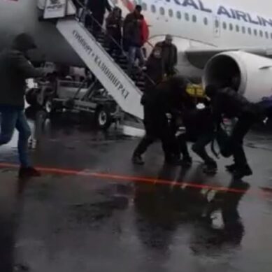 Пассажира авиарейса «Москва — Калининград» задержали по подозрению в тяжком преступлении
