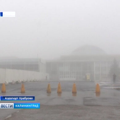 Туман парализовал работу калининградского аэропорта «Храброво»