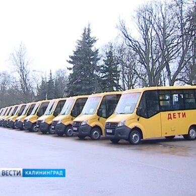 Школьный автопарк двенадцати районов области пополнился почти 30 автобусами