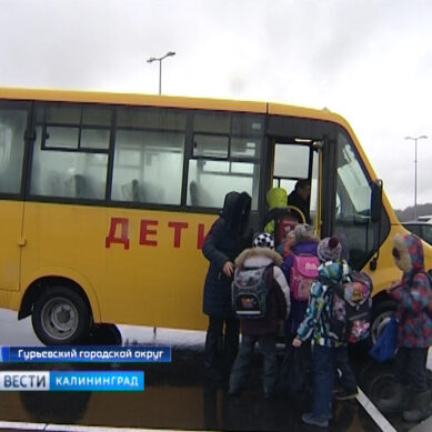 В Гурьевске появились три новых школьных автобуса