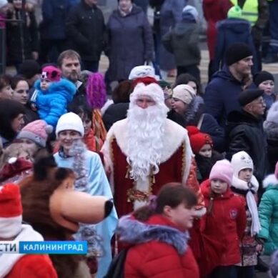 В Советске прошёл парад Дедов Морозов