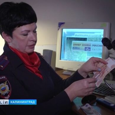 Калининградские полицейские рассказали, как распознать фальшивые деньги