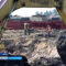 Строители Приморской ТЭС высадят пятьдесят тысяч деревьев