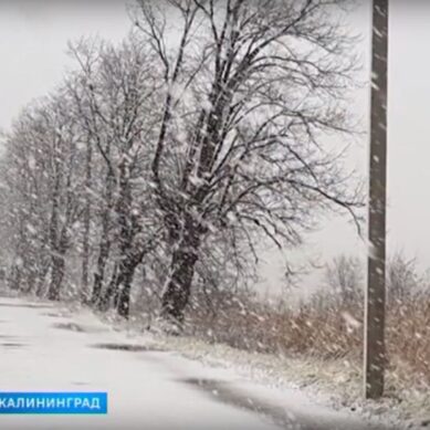 Калининградцев предупреждают о «скрытой угрозе» на дорогах