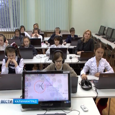 24 учебных заведения Калининградской области присоединились к проекту «Российская электронная школа»
