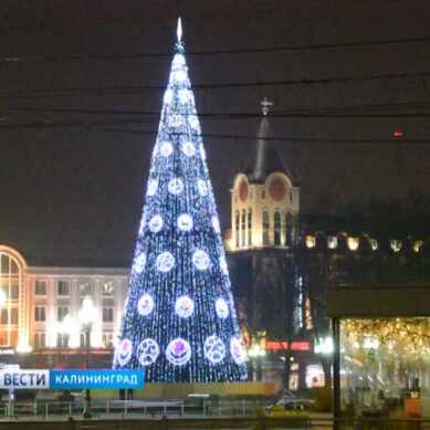 В Калининграде украсили главную городскую ёлку