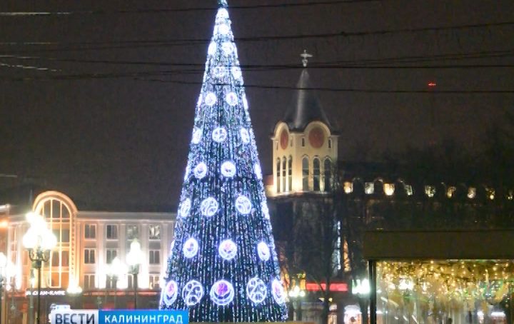 Калининградцам расскажут, как справиться с похмельем в новогодние каникулы