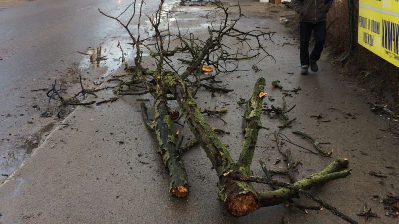 Сотрудники МЧС убирают упавшие во время шторма деревья