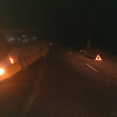 Под Славском водитель автобуса насмерть сбил пенсионера