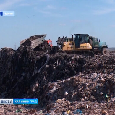 Два полигона Калининградской области перестанут принимать порядка 70 наименований опасного мусора