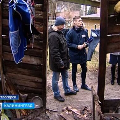 В Калининградской области люди готовы покинуть дом, который находится в центре курорта