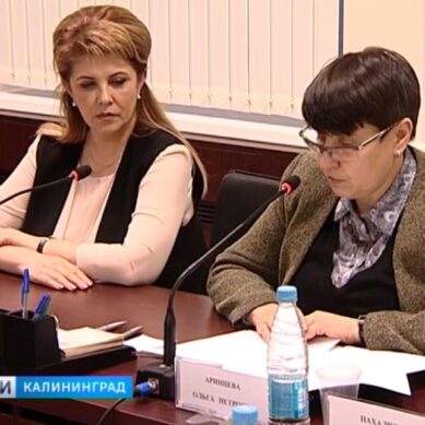 Калининградские общественники отправят своих наблюдателей на «Выборы-2018»