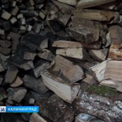 Жители востока Калининградской области рискуют провести зиму без дров