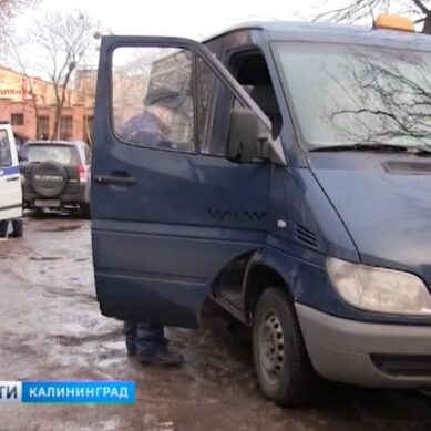 В Калининградской области нашли 30 нелегальных автобусов