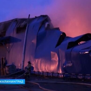 Пожар на складах с алкоголем в Калининграде тушили более 15 часов