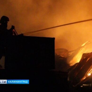 Пожар на складах в Калининграде может быть результатом поджога