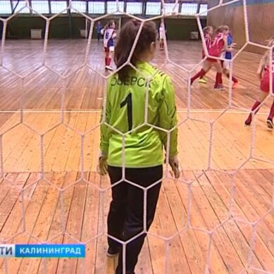 Стартовал женский чемпионат Калининградской области по мини-футболу