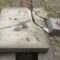 На Украине вандалы повредили памятник советским солдатам