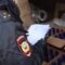 Полиция Калининграда изъяла более 2 тыс. бутылок «сомнительного» алкоголя
