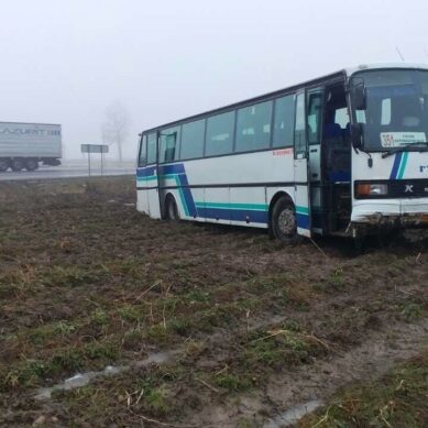 Под Гусевом рейсовый автобус съехал в картофельное поле
