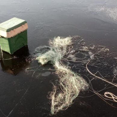 «Пока тонул, другие рыбачили»: очевидцы о трагедии на озере под Багратионовском