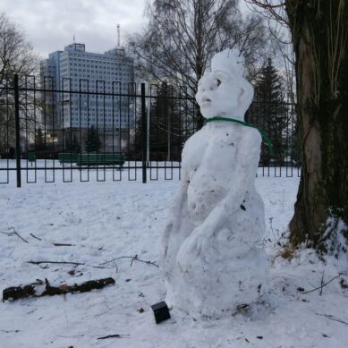 Калининградцы бросились лепить снеговиков. Истосковались по ноздреватому снегу