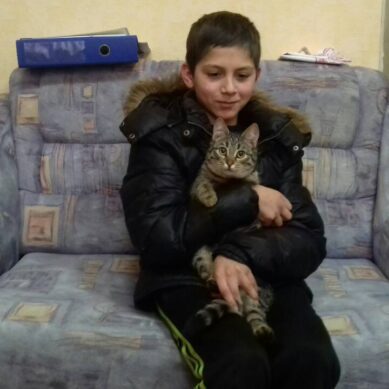 Пропавшего в Краснознаменске мальчика спас бездомный кот