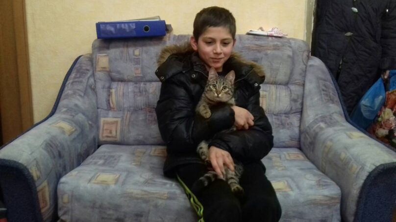 Пропавшего в Краснознаменске мальчика спас бездомный кот