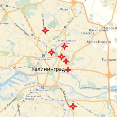 Калининградские «Вести» составили карту перемещения лисы по улицам города