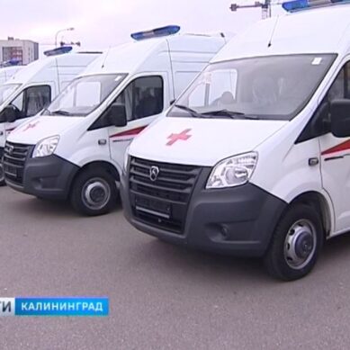 Калининградская область закупила 50 новых школьных автобусов и карет скорой помощи