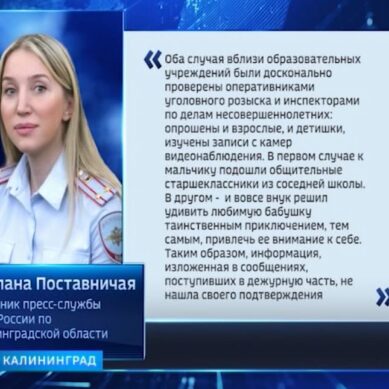 В полиции не подтвердили информацию о якобы орудующей в Калининграде «банде педофилов»