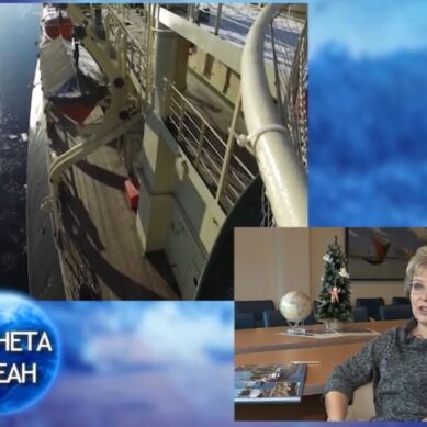 Телевизионная научно-популярная программа «Планета Океан» принимает участие в премии «Хрустальный компас»