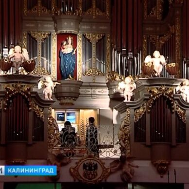 В Кафедральном соборе состоялось открытие фестиваля «Орган+»