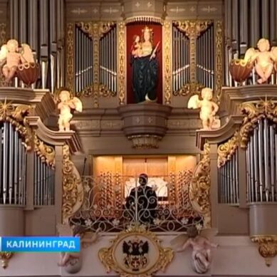 Сегодня в Кафедральном соборе состоится открытие фестиваля «Орган+»