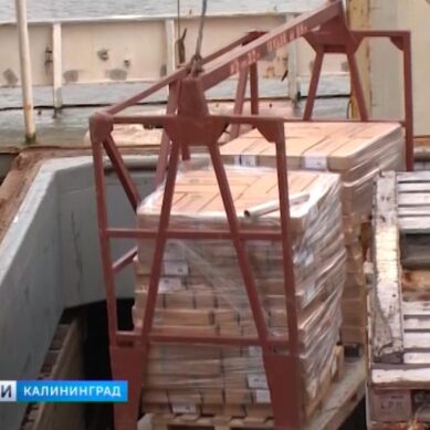 В Калининграде прошла первая в 2018 году отгрузка рыбы