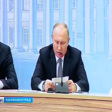 Путин провёл видеоконференцию со студентами БФУ