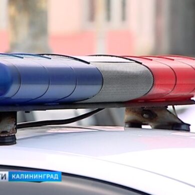 В Калининградской области за месяц оштрафовали свыше одной тысячи водителей за непристёгнутый ремень