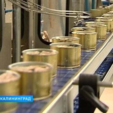 В Калининградской области запускают новое рыбоперерабатывающее предприятие