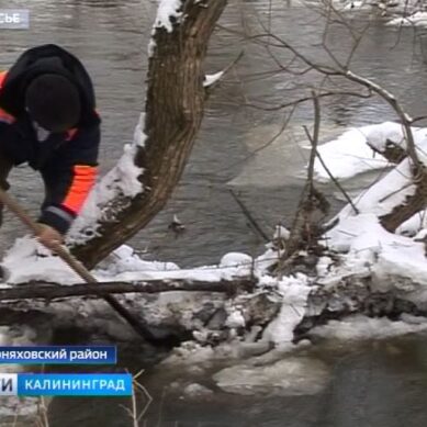 Обнаружено тело мальчика, пропавшего в Черняховском районе