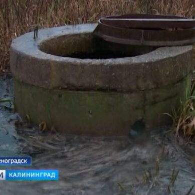 В Зеленоградске фекальные воды затопили микрорайон