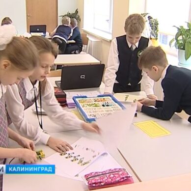 ВЦИОМ: У каждого второго россиянина не хватает денег собрать ребёнка в школу