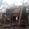 Директор Куршской косы назвал вероятную причину пожара на турбазе «Видтех»