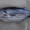 В Калининградской области приостановлен выпуск 23 тонн мавританского тунца