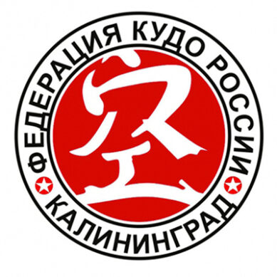 Боец из Калининграда стал чемпионом России по кудо
