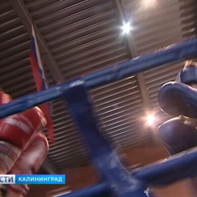 В Калининграде завершилось первенство области по боксу среди юношей