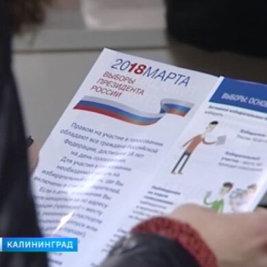 В Калининградской области работали 550 избирательных участков. Явка по области составила 56, 7%.