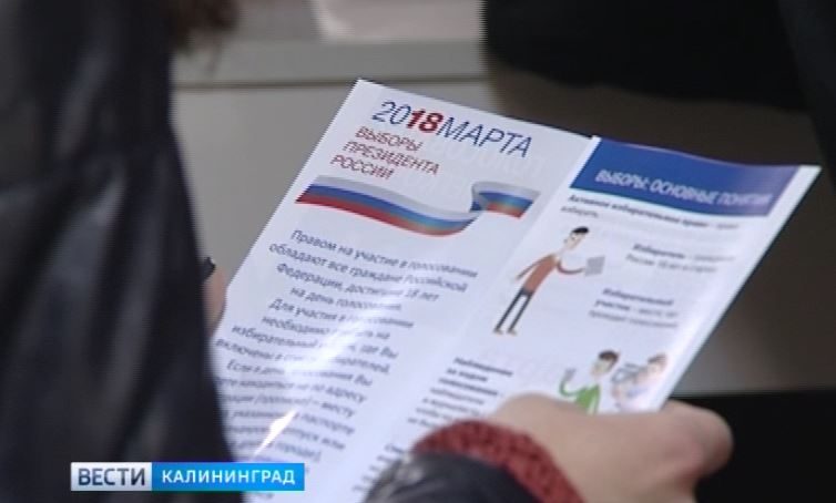 Ответчики по делу о вбросах на выборах президента в Советске признали нарушения