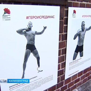 В музее Фридландские ворота открылся фотопроект «Герои России, какими их не видел никто»