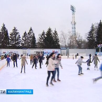 В Калининграде отпраздновали День зимних видов спорта